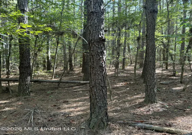 Photo 4 of Land for sale at Ratliff Fry Rd, Canton, MS 39046 | MLS# 4161934 | Listing updated on 2026-09-09