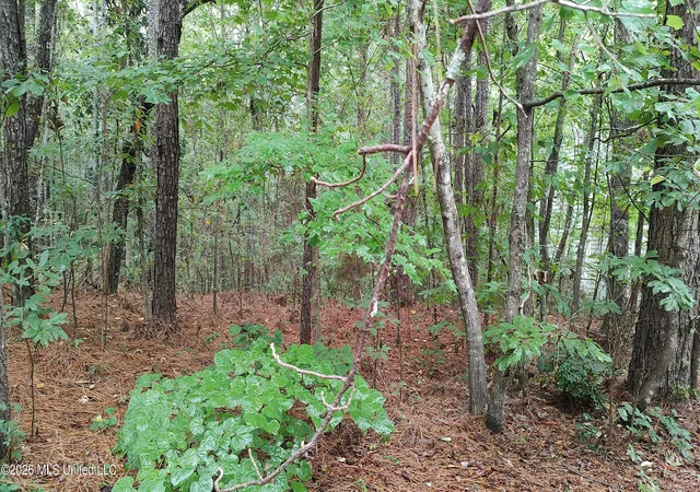 Photo 3 of Land for sale at 5 Stoneridge N, Hattiesburg, MS 39402 | MLS# 4161997 | Listing updated on 2026-09-10