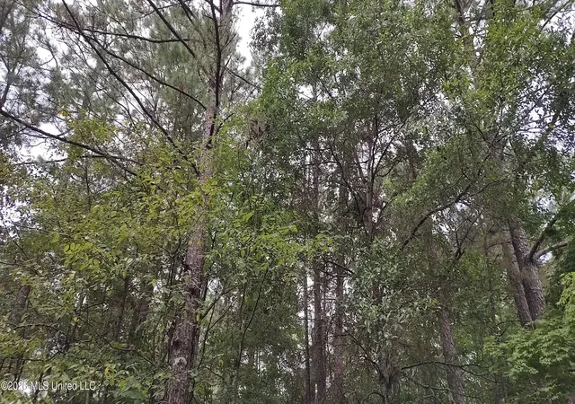 Photo 3 of Land for sale at 5 Stoneridge N, Hattiesburg, MS 39402 | MLS# 4161997 | Listing updated on 2026-09-10