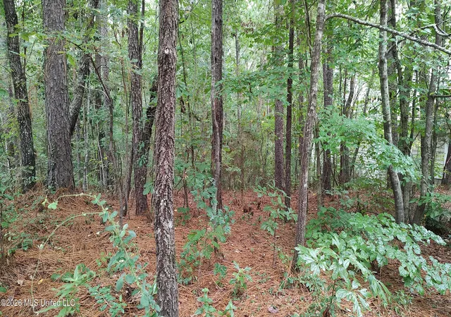 Photo 4 of Land for sale at 5 Stoneridge N, Hattiesburg, MS 39402 | MLS# 4161997 | Listing updated on 2026-09-10