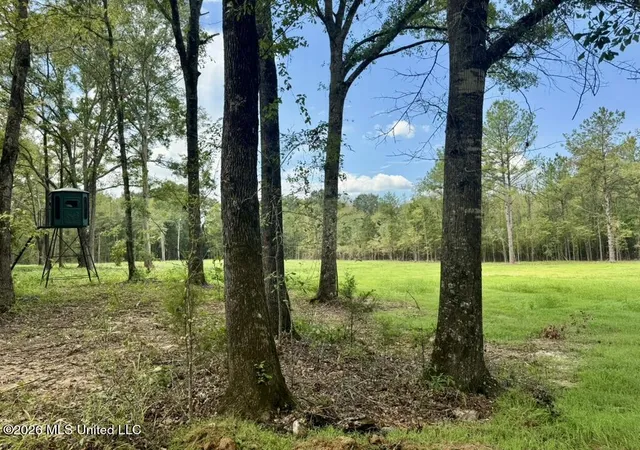 Photo 1 of Land for sale at 0001 Chapel Hl Rd, Utica, MS 39175 | MLS# 4162080 | Listing updated on 2026-09-12
