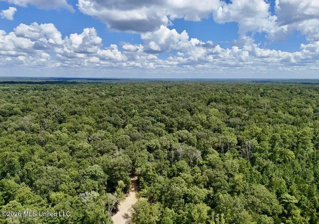 Photo 3 of Land for sale at 0001 Chapel Hl Rd, Utica, MS 39175 | MLS# 4162080 | Listing updated on 2026-09-12