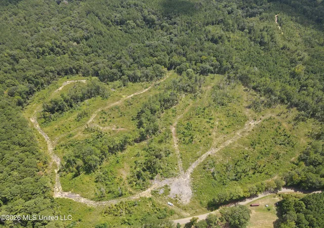 Photo 3 of Land for sale at 398 Wakefield Ln, Brookhaven, MS 39601 | MLS# 4162257 | Listing updated on 2026-09-12