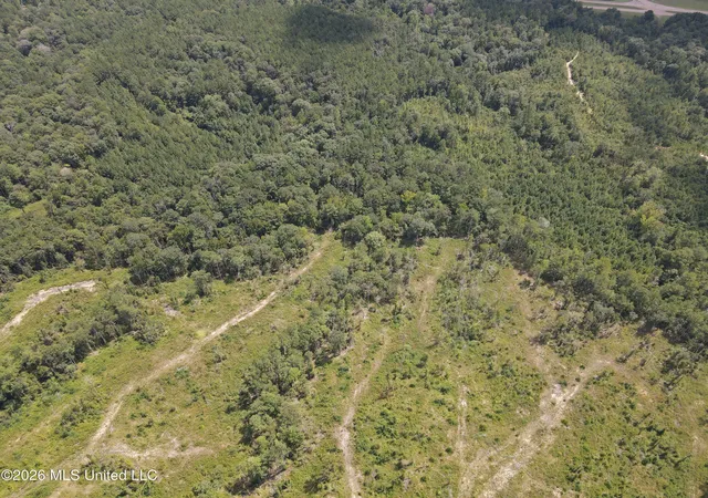 Photo 3 of Land for sale at 398 Wakefield Ln, Brookhaven, MS 39601 | MLS# 4162257 | Listing updated on 2026-09-12