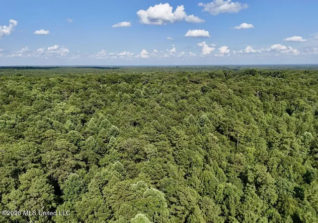Photo 2 of Land for sale at 0057 Monticello Rd, Wesson, MS 39191 | MLS# 4162121 | Listing updated on 2026-09-11