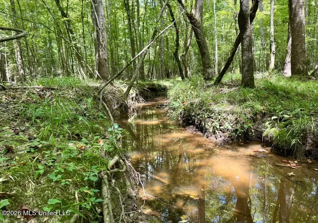 Photo 2 of Land for sale at 0057 Monticello Rd, Wesson, MS 39191 | MLS# 4162121 | Listing updated on 2026-09-11
