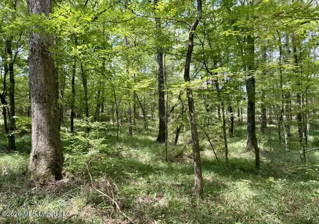 Photo 4 of Land for sale at 0057 Monticello Rd, Wesson, MS 39191 | MLS# 4162121 | Listing updated on 2026-09-11