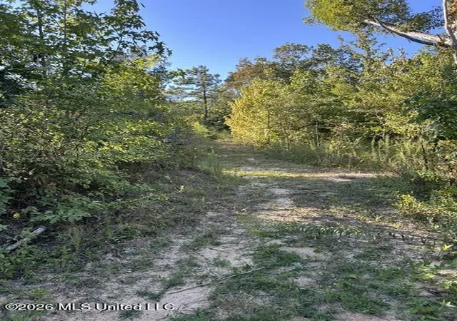 Photo 43 of Single family home for sale at 398 Poplar Ln, Holly Springs, MS 38635 | MLS# 4162079 | Listing updated on 2026-09-10