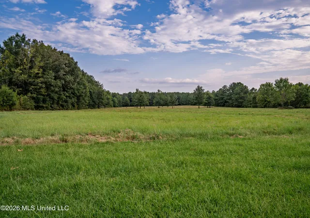 Photo 4 of Land for sale at 483 D Williams Rd, Morton, MS 39117 | MLS# 4162060 | Listing updated on 2026-09-12