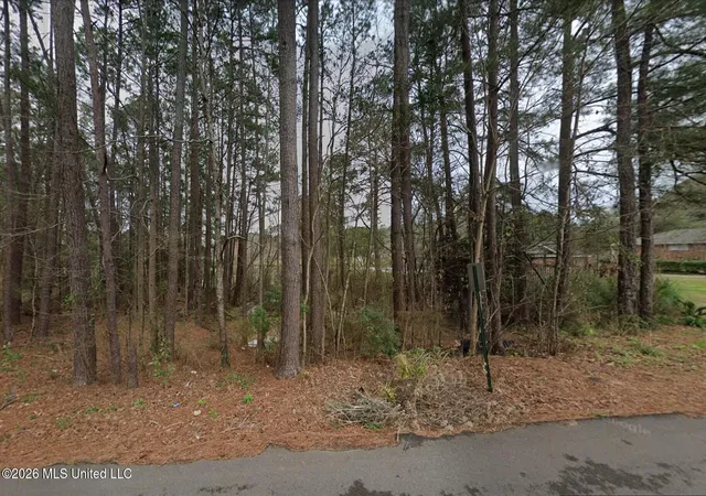 Photo 2 of Land for sale at 115 W Lakeside Dr, Hattiesburg, MS 39402 | MLS# 4162120 | Listing updated on 2026-09-11