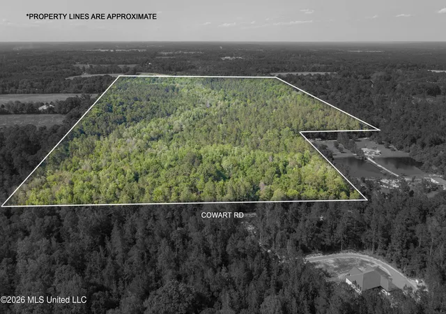 Land for sale at 0 Cowart Rd, Lucedale, MS 39452 | MLS# 4162124