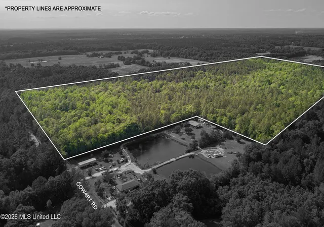 Photo 2 of Land for sale at 0 Cowart Rd, Lucedale, MS 39452 | MLS# 4162124 | Listing updated on 2026-09-11