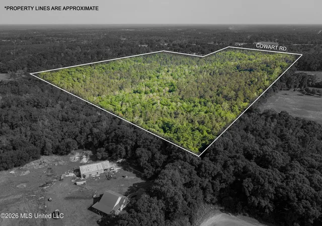 Photo 3 of Land for sale at 0 Cowart Rd, Lucedale, MS 39452 | MLS# 4162124 | Listing updated on 2026-09-11