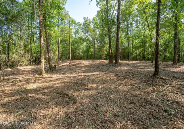 Photo 4 of Land for sale at 0 Cowart Rd, Lucedale, MS 39452 | MLS# 4162124 | Listing updated on 2026-09-11