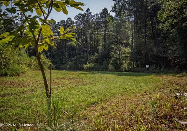 Photo 3 of Sale Pending at Attala Rd 3053, Kosciusko, MS 39090 | MLS# 4162155 | Listing updated on 2026-09-19