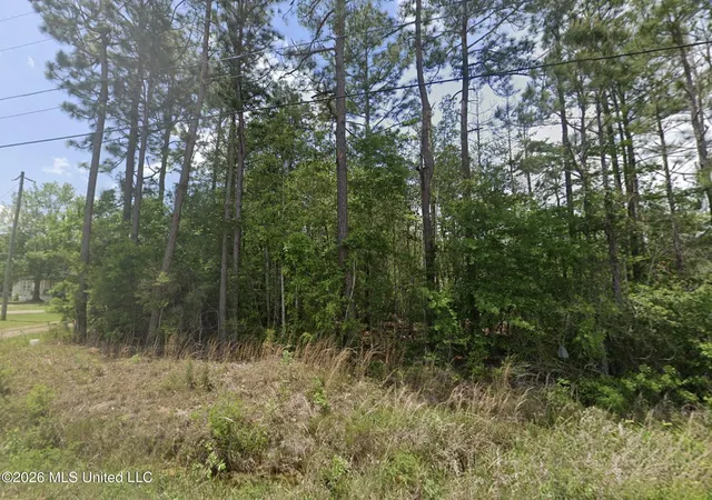 Photo 1 of Land for sale at Lake Rd, Mc Henry, MS 39561 | MLS# 4162156 | Listing updated on 2026-09-11