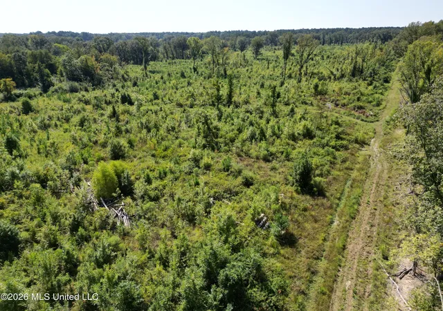 Photo 1 of Land for sale at 0 E Doc Clark Rd, Morton, MS 39117 | MLS# 4162153 | Listing updated on 2026-09-11