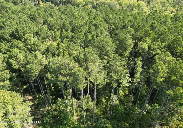 Photo 2 of Land for sale at 0 E Doc Clark Rd, Morton, MS 39117 | MLS# 4162153 | Listing updated on 2026-09-11