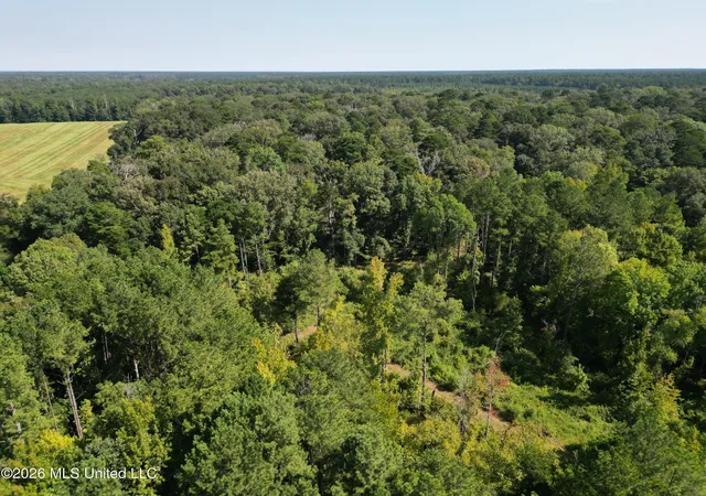 Photo 3 of Land for sale at 0 E Doc Clark Rd, Morton, MS 39117 | MLS# 4162153 | Listing updated on 2026-09-11