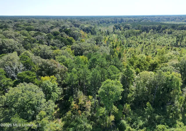 Photo 3 of Land for sale at 0 E Doc Clark Rd, Morton, MS 39117 | MLS# 4162153 | Listing updated on 2026-09-11
