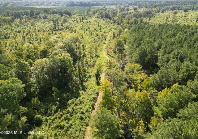 Photo 4 of Land for sale at 0 E Doc Clark Rd, Morton, MS 39117 | MLS# 4162153 | Listing updated on 2026-09-11