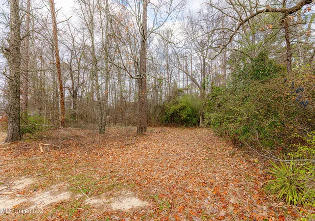 Photo 7 of Land for sale at 0 Flowood Dr, Flowood, MS 39232 | MLS# 4162158 | Listing updated on 2026-09-11