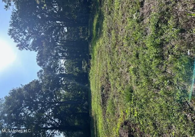 Land for sale at 4528 Hanging Moss Rd, Jackson, MS 39206 | MLS# 4162161