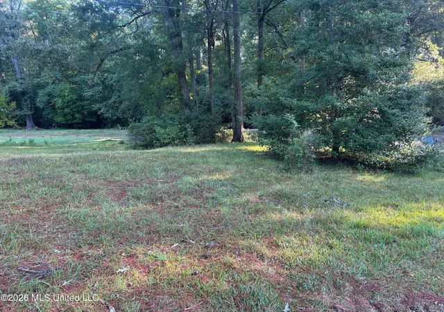 Photo 3 of Land for sale at 77a Magnolia Acres Rd, Natchez, MS 39120 | MLS# 4162162 | Listing updated on 2026-09-24