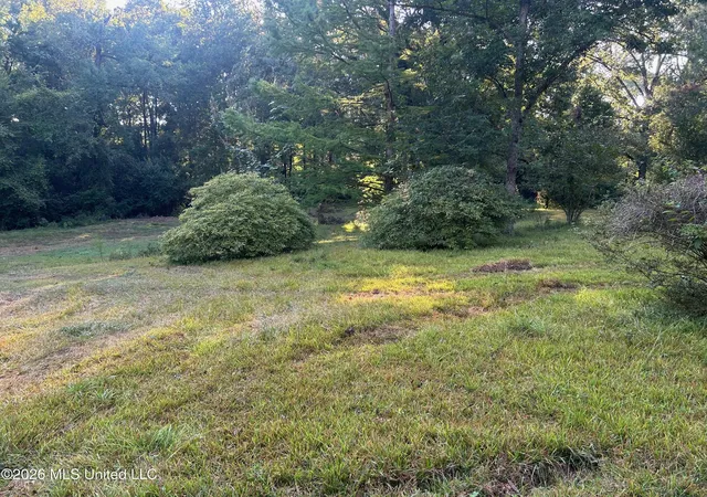 Photo 4 of Land for sale at 77a Magnolia Acres Rd, Natchez, MS 39120 | MLS# 4162162 | Listing updated on 2026-09-24