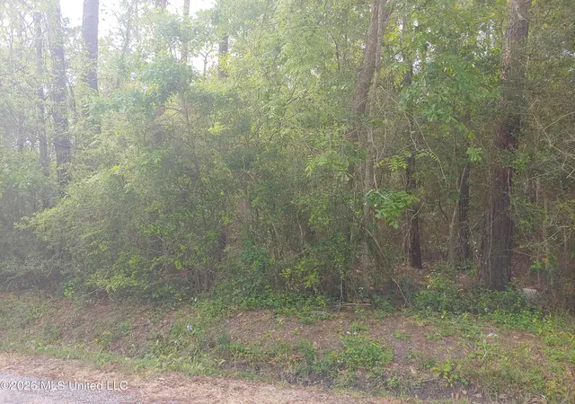 Land for sale at E Newton St, Bay Saint Louis, MS 39520 | MLS# 4162180