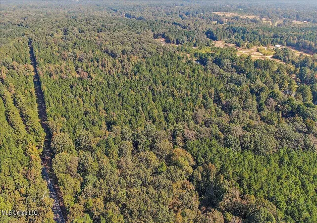 Photo 4 of Land for sale at 00 Cleary Rd, Florence, MS 39073 | MLS# 4162293 | Listing updated on 2026-09-12