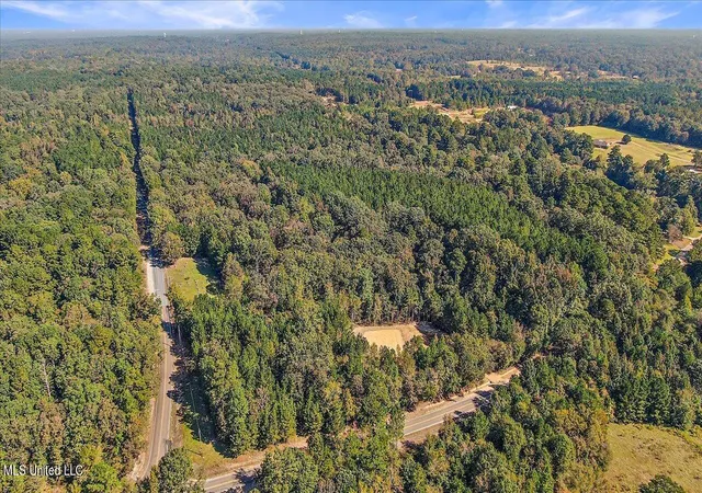 Photo 2 of Land for sale at 000 Cleary Rd, Florence, MS 39073 | MLS# 4162294 | Listing updated on 2026-09-12