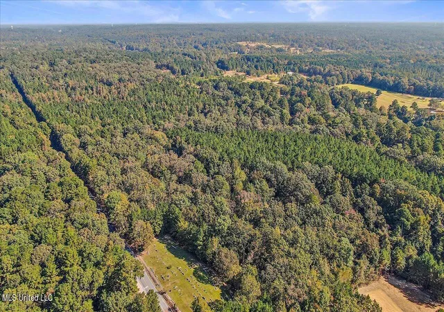 Photo 3 of Land for sale at 000 Cleary Rd, Florence, MS 39073 | MLS# 4162294 | Listing updated on 2026-09-12