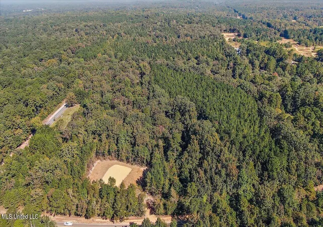 Land for sale at 0000 Cleary Rd, Florence, MS 39073 | MLS# 4162295