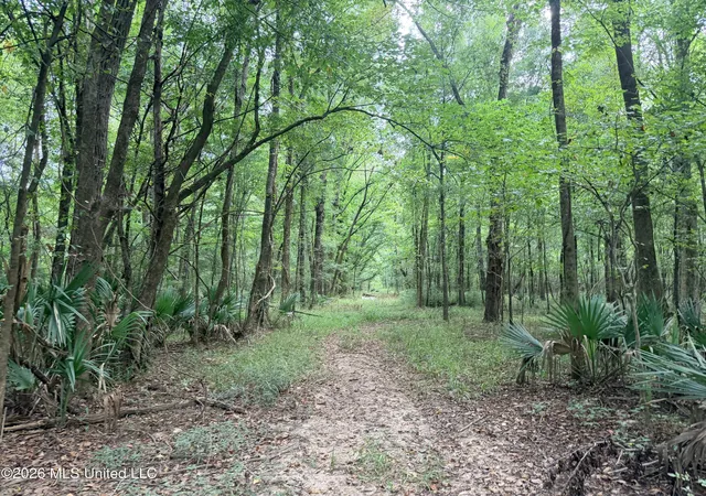 Photo 2 of Land for sale at 469, Pearl, MS 39208 | MLS# 4162340 | Listing updated on 2026-09-13