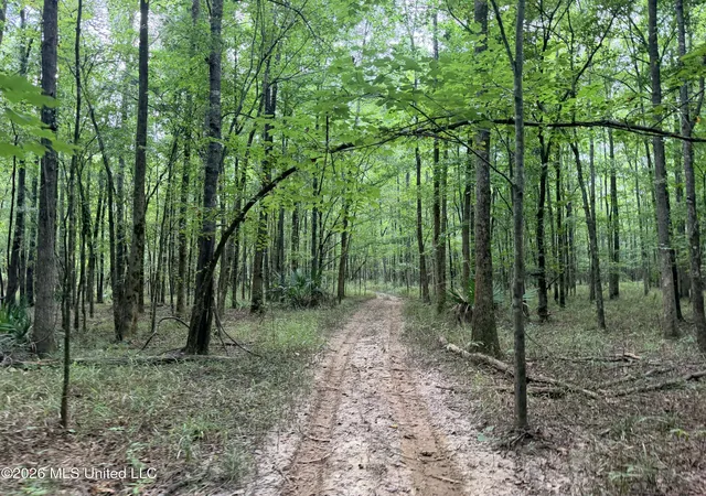 Photo 4 of Land for sale at 469, Pearl, MS 39208 | MLS# 4162340 | Listing updated on 2026-09-13