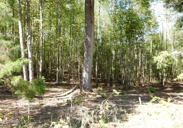 Photo 1 of Sale Pending at Lot 1 Cypress Cor Rd, Senatobia, MS 38668 | MLS# 4162333 | Listing updated on 2026-09-17
