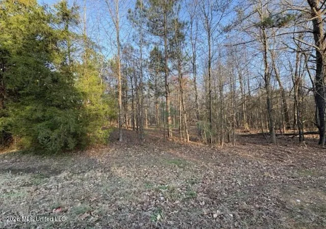 Photo 1 of Land for sale at 1397 Gravel Springs Rd, Senatobia, MS 38668 | MLS# 4162335 | Listing updated on 2026-09-13