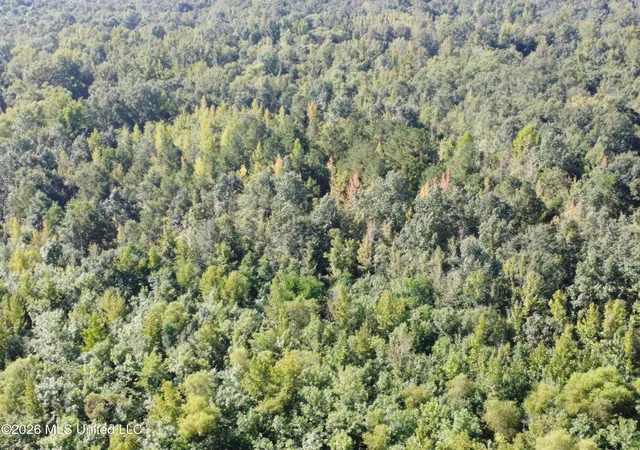 Photo 3 of Land for sale at 469 Lot #2 Pearl Dr, Pearl, MS 39208 | MLS# 4162343 | Listing updated on 2026-09-14