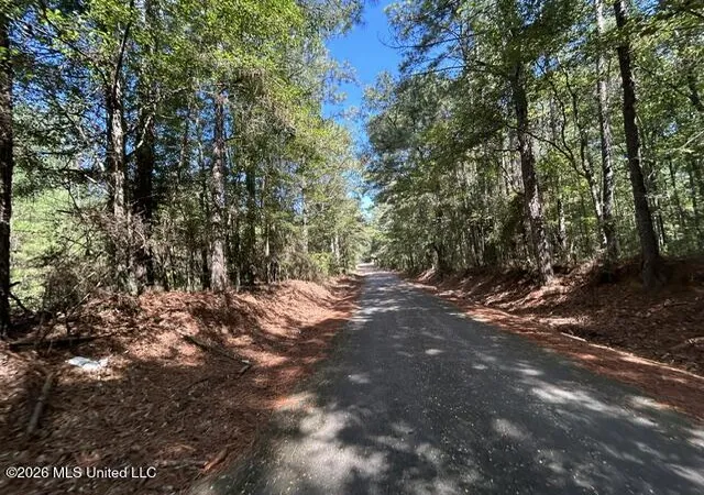Land for sale at Irene Rd, Summit, MS 39666 | MLS# 4162526