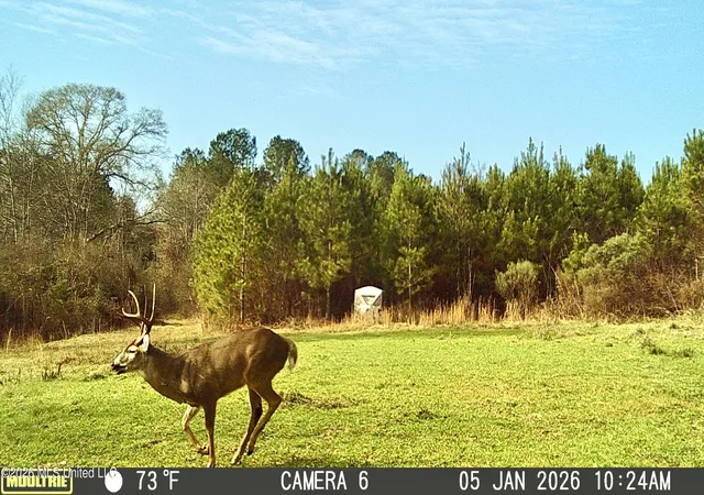 Land for sale at Jayess Rd, Jayess, MS 39641 | MLS# 4162653