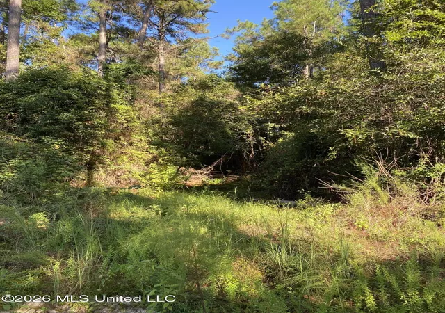 Photo 2 of Sale Pending at 10 Mile Church Rd, Perkinston, MS 39573 | MLS# 4162827 | Listing updated on 2026-09-21