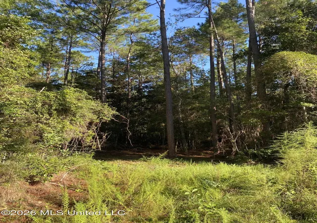Photo 3 of Sale Pending at 10 Mile Church Rd, Perkinston, MS 39573 | MLS# 4162827 | Listing updated on 2026-09-21