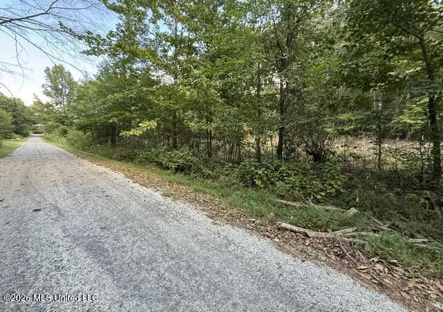 Land for sale at Ted Cvs, Byhalia, MS 38611 | MLS# 4162685