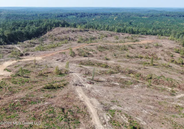 Photo 1 of Land for sale at 350 Baumann Rd, Hickory Flat, MS 38633 | MLS# 4162761 | Listing updated on 2026-09-17