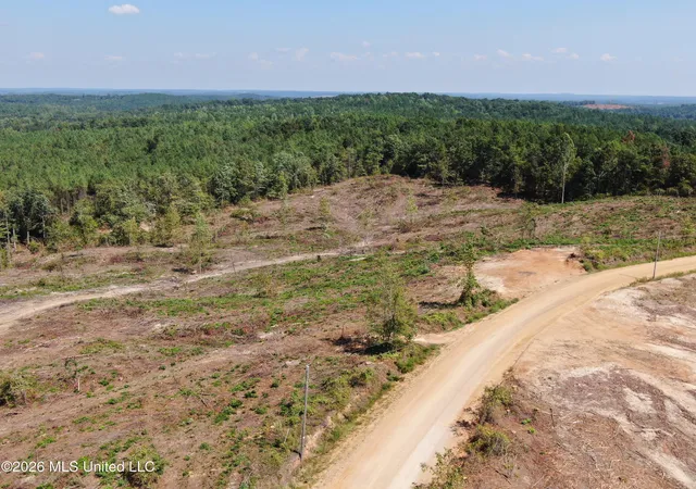 Photo 2 of Land for sale at 350 Baumann Rd, Hickory Flat, MS 38633 | MLS# 4162761 | Listing updated on 2026-09-17