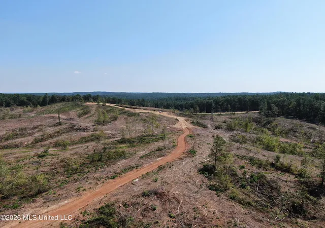 Photo 3 of Land for sale at 350 Baumann Rd, Hickory Flat, MS 38633 | MLS# 4162761 | Listing updated on 2026-09-17