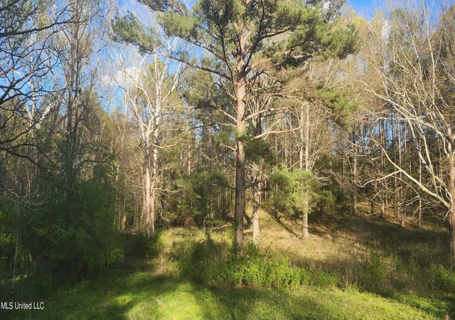 Photo 1 of Land for sale at Ms 471, Brandon, MS 39047 | MLS# 4162709 | Listing updated on 2026-10-31