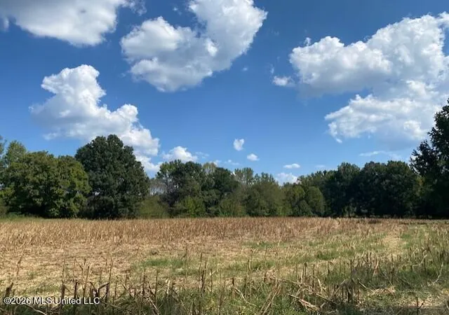 Land for sale at 2770 Mississippi 305, Coldwater, MS 38618 | MLS# 4162760