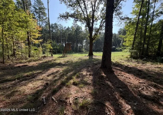 Photo 1 of Land for sale at Mississippi 18, Raleigh, MS 39153 | MLS# 4162757 | Listing updated on 2026-10-21